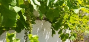 2 Bedroom, 2 Bathroom Villa in Murcia