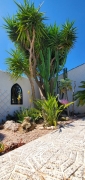 2 Bedroom, 2 Bathroom Villa in Murcia