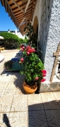 2 Bedroom, 2 Bathroom Villa in Murcia