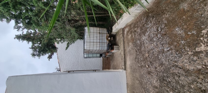 6 Bedroom, 3 Bathroom Finca in Murcia
