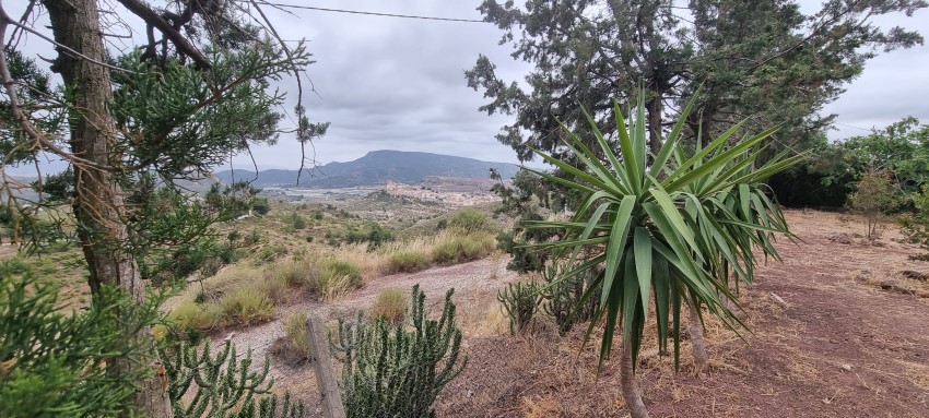 6 Bedroom, 3 Bathroom Finca in Murcia