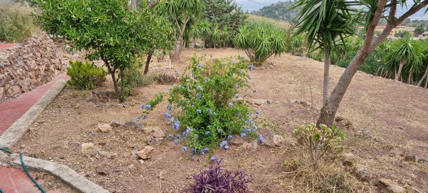 6 Bedroom, 3 Bathroom Finca in Murcia