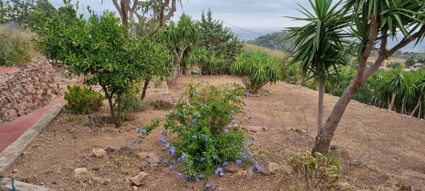 6 Bedroom, 3 Bathroom Finca in Murcia