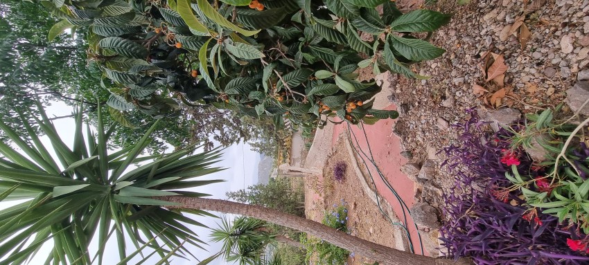 6 Bedroom, 3 Bathroom Finca in Murcia