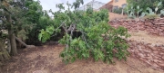 3 Bedroom, 3 Bathroom Finca in Murcia