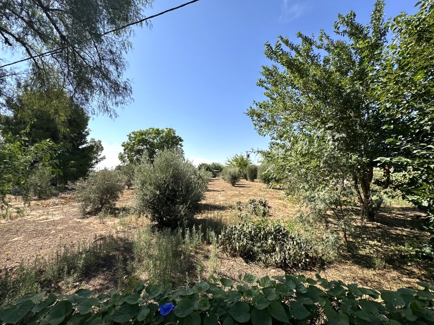 3 Bedroom, 3 Bathroom Finca in Murcia